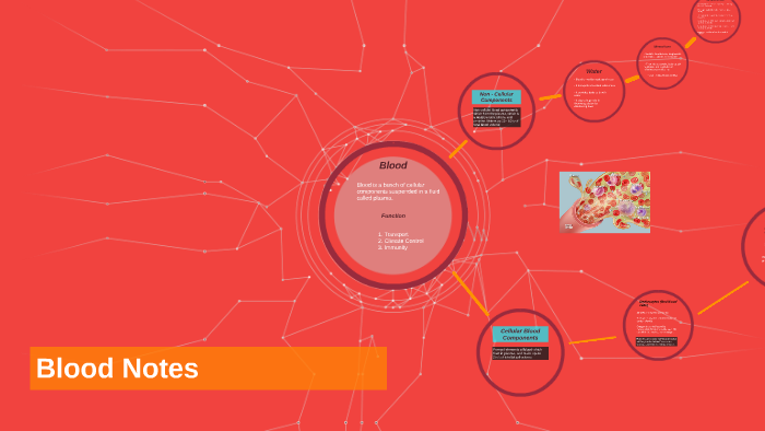Blood Notes by Max Fidel on Prezi