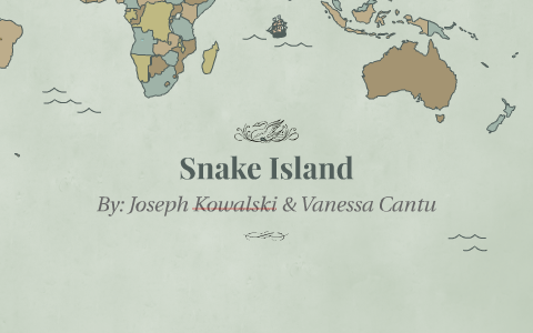 Snake Island (Ilha da Queimada Grande) - Atlas Obscura