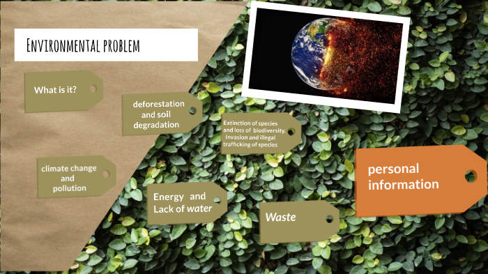 Environmental problem by Valentina Torres on Prezi