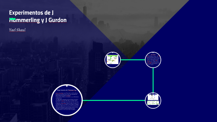 j hammerling experiment