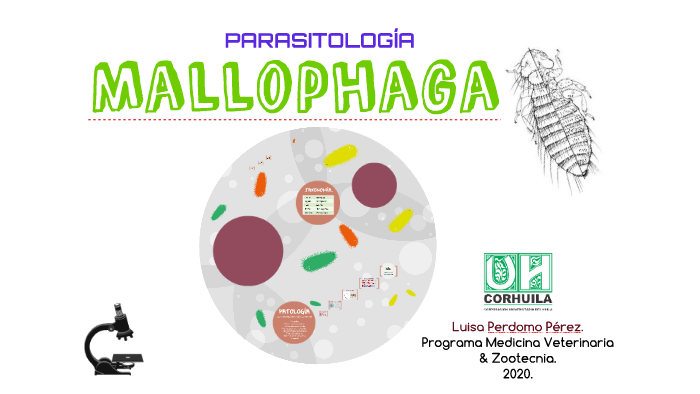 Mallophaga by Luisa Perdomo on Prezi