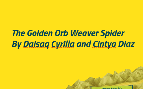 The Golden Orb Weaver Spider by Daisaq C on Prezi