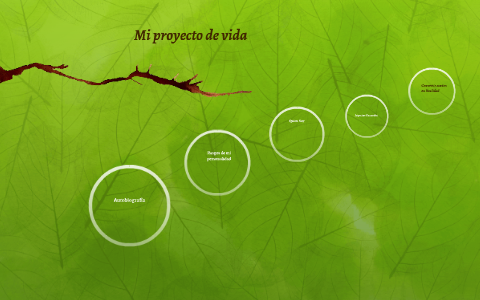 Mi Proyecto de Vida by erika rivera on Prezi