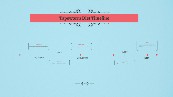 Tapeworm Diet Timeline by Tape worm Project