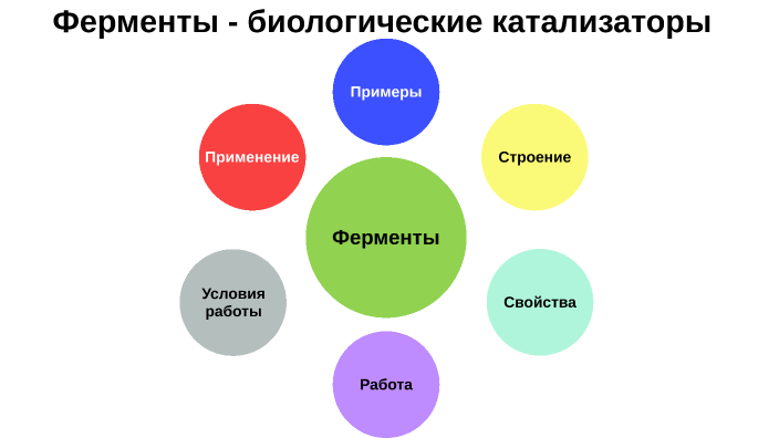 Ферменты катализаторы. Биологические процессы и катализаторы. Биологические катализаторы 10 класс конспект биология. Примеры катализаторов в биологии. Заключении фферментов.
