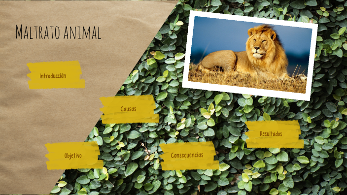 Maltrato animal-Proyecto de investigacion by David Bermeo on Prezi
