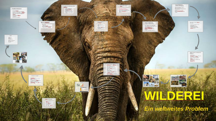 Wilderei By Paula Nerlich On Prezi