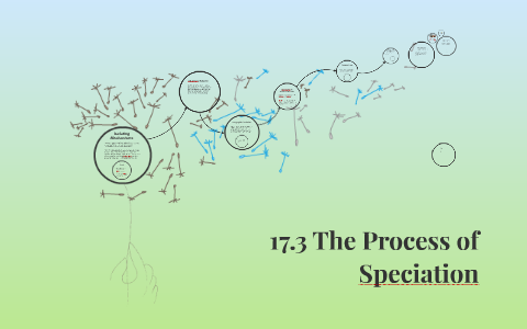 17.3 The Process of Speciation by Grace Helgemo on Prezi