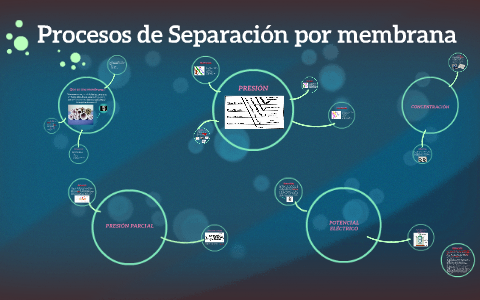 Procesos De Separación Con Membrana By Jessica Prieto On Prezi