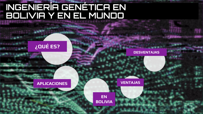 Ingenieria Genetica En Bolivia Y El Mundo By Vanessa Menar On