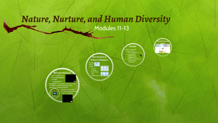 Modules 11 13 Nature Nurture And Human Diversity By Robin Blair