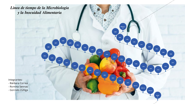 Linea De Tiempo Inocuidad By Bárbara Correa 8032