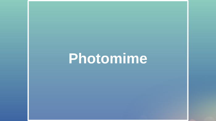 Photomime By Camille C