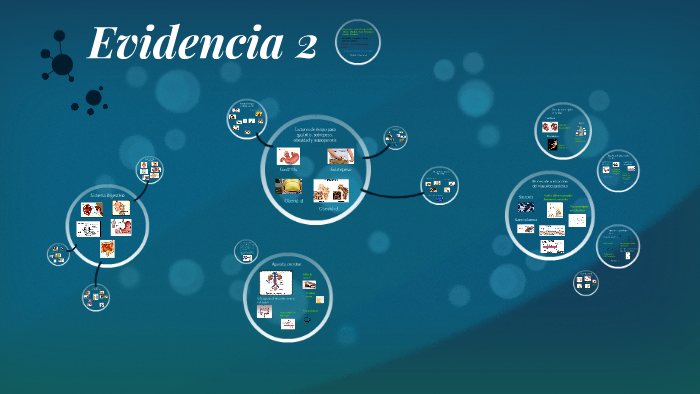 Evidencia 2 by Andrea Rosas on Prezi