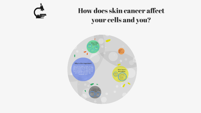 how-does-melanoma-affect-skin-cells-by-rachel-orlowski