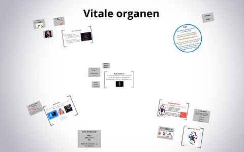 Vitale organen by Rob van Luijk