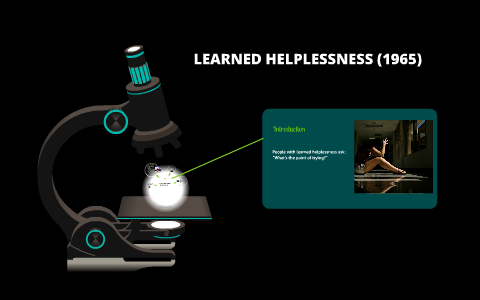 learned helplessness experiment 1965 purpose