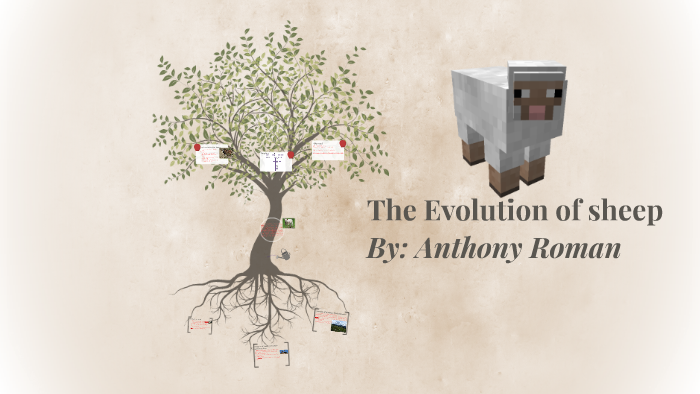 The Evolution of Sheep by Anthony Roman on Prezi