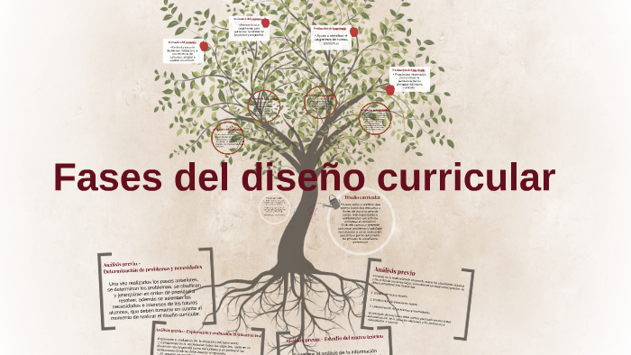 Fases Del Diseño Curricular By Thelma Andalon On Prezi