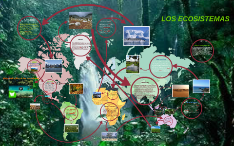 LOS ECOSISTEMAS by Brian Esteban Martinez Lopez on Prezi