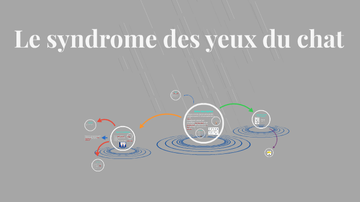 Le Syndrome Des Yeux Du Chat By Jacqueline Schryer
