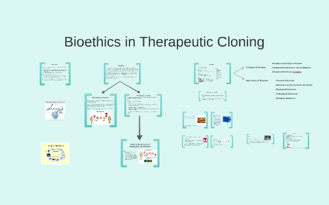 Bioethics in Therapeutic Cloning by Catarina Melo on Prezi