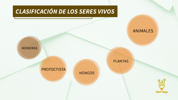 ClasificaciÓn De Los Seres Vivos By Carmen Vicu A On Prezi