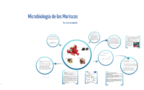 Microbiologia de los Mariscos by Carla Campabadal on Prezi Next