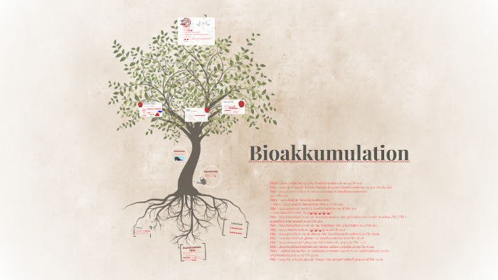 Bioakkumulation by Louis B on Prezi