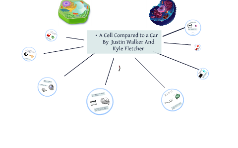 A Cell Compared To Car By Justin Walker On Prezi