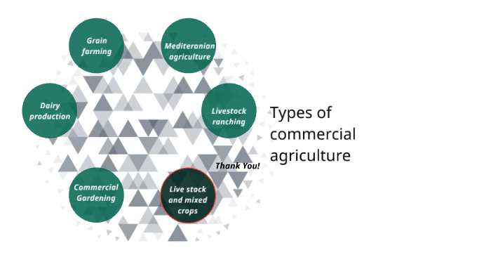 Types of commercial agriculture by Jordan Moffett on Prezi