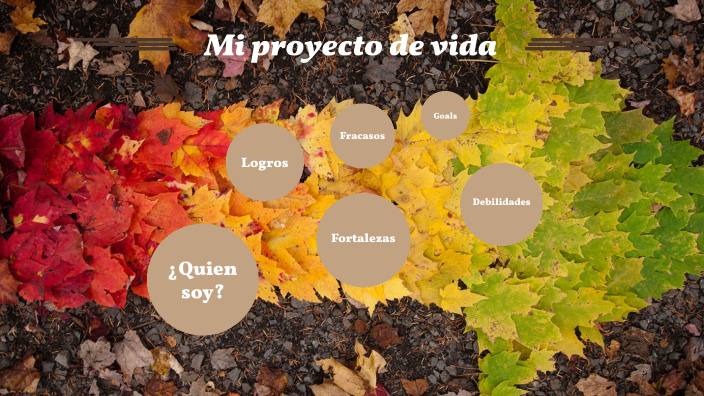 Mi proyecto de vida by DIANA CATHERINE MARTELO TURIZO on Prezi