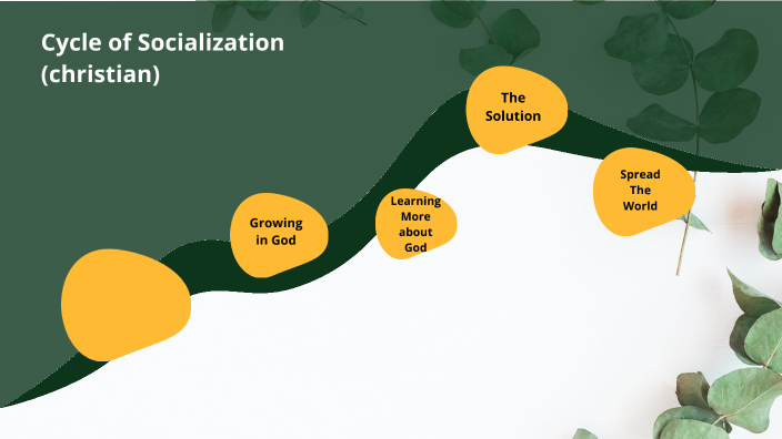 Cycle of Socialization by Vanessa Blemur on Prezi