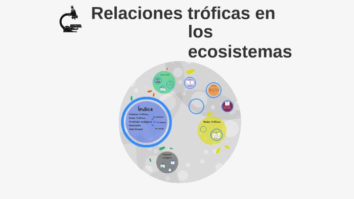 los ecosistemas by Maca Cantero on Prezi