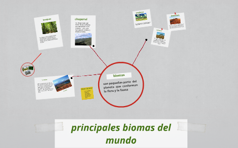 principales biomas del mundo by yuly romero on Prezi