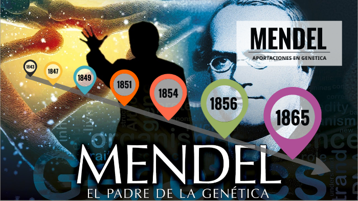 APORTACIONES DE MENDEL EN LA GENETICA by Luis Tobon on Prezi