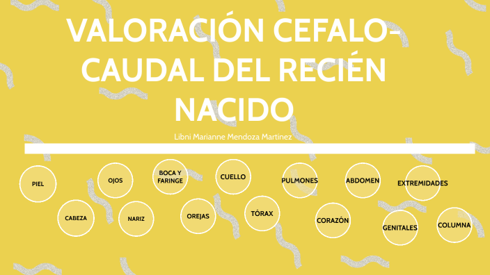 Valoración cefalo caudal by Libni Mendoza on Prezi