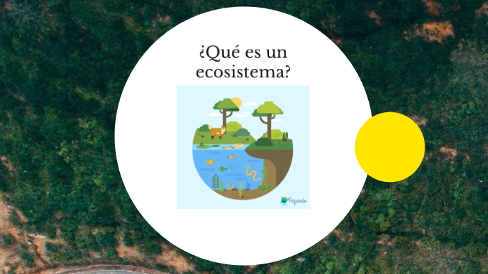 Ecosistemas Nayarit by Fernando Lamadrid on Prezi