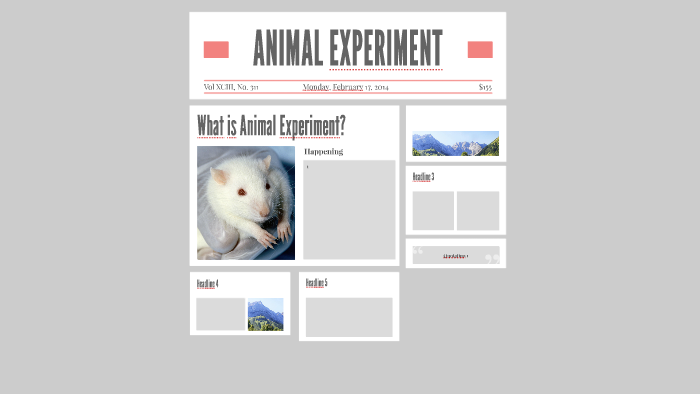 animal-experiment-by-jun-lee