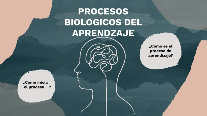 Procesos Biológicos En El Aprendizaje By Marcela Sanchez On Prezi