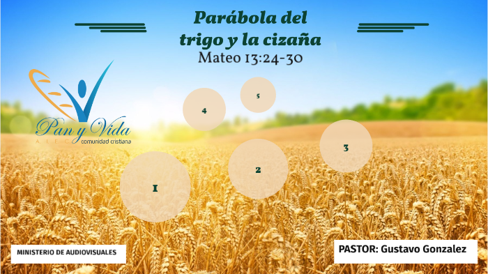 Parábola del trigo y la cizaña DOMINGO 3 by iglesia pan y vida on Prezi