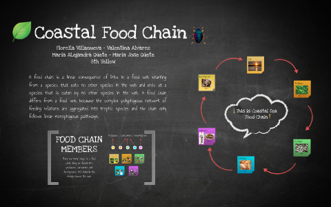 Coastal Food Chain by Fiorella Villanueva on Prezi Biology Diagrams