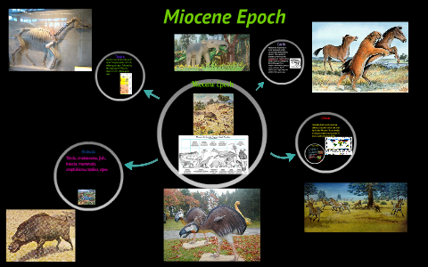 Miocene Epoch by Brandon Coleman