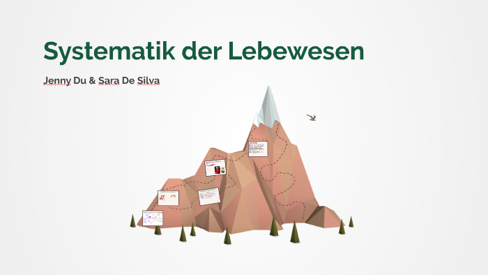 Systematik Der Lebewesen By Sara De Silva On Prezi Next