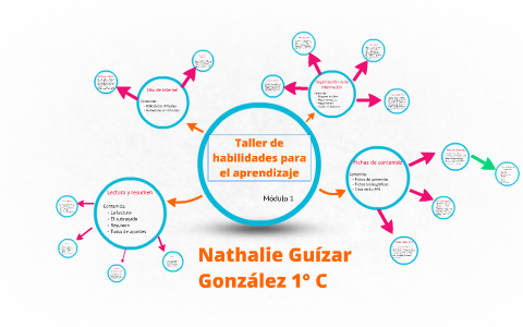 Taller de habilidades para el aprendizaje by Nathalie Gonzalez on Prezi