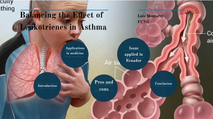 Balancing the Effect of Leukotrienes in Asthma by Luis Adrián Montalvo ...