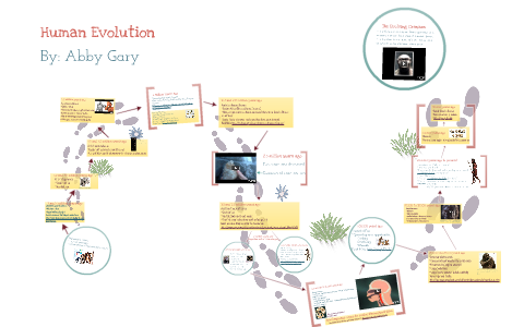 Human Evolution by Abby Gary on Prezi