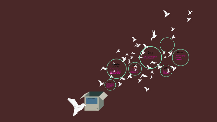 The classification system by denise cruz on Prezi