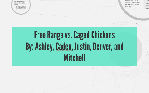 Free Range vs. Caged Chickens by Ashley Alexander on Prezi Next