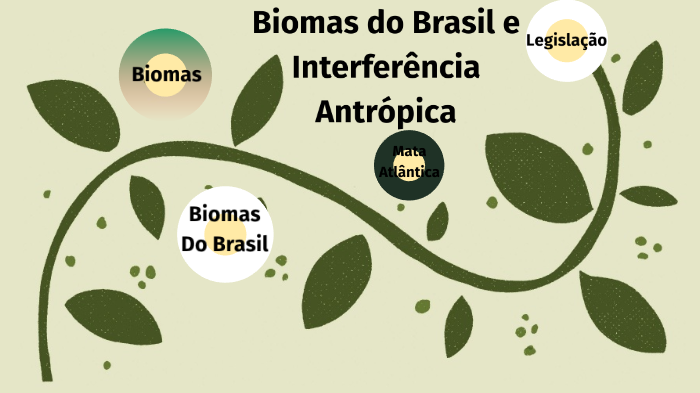 Biomas do Brasil by Romário Da Silva Rios on Prezi